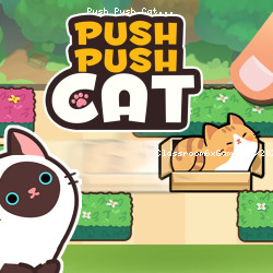 Push Push Cat
