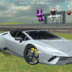 Sports Cars Driver