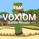 Voxiom.io
